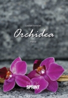 Orchidea